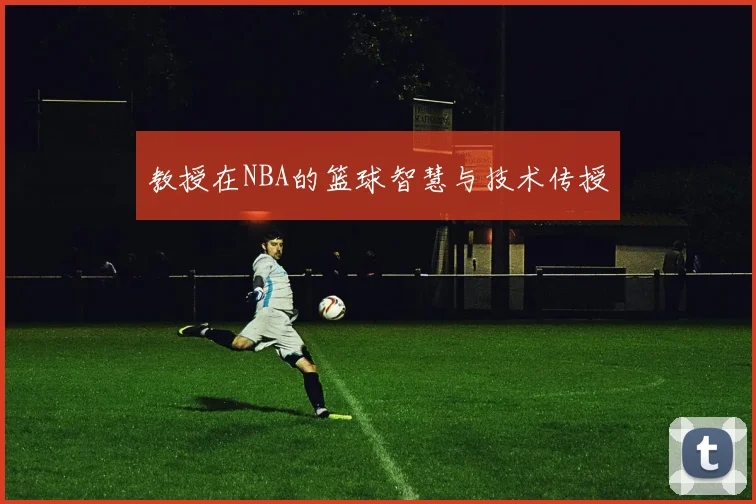 教授在NBA的篮球智慧与技术传授