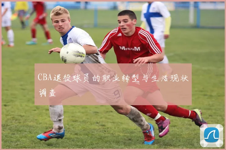 CBA退役球员的职业转型与生活现状调查